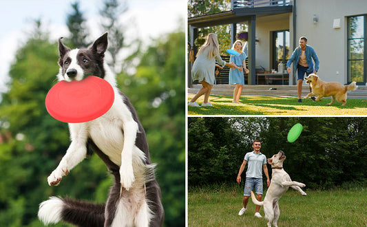 Dog flying disc for aggressive,for all breeds,Has night light function,Middle cloth placementStronger and chewy resistant..