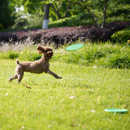 Dog flying disc for small